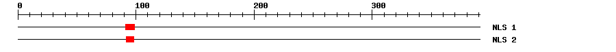 NLS