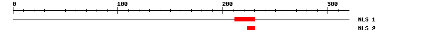 NLS