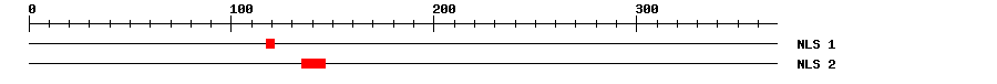 NLS
