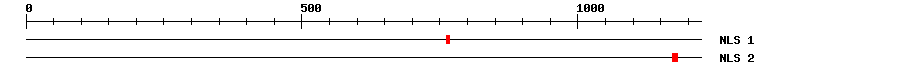 NLS