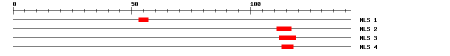 NLS