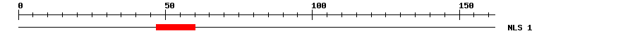 NLS