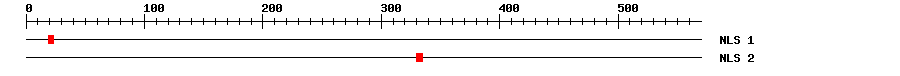 NLS