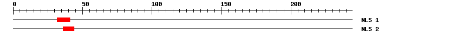 NLS
