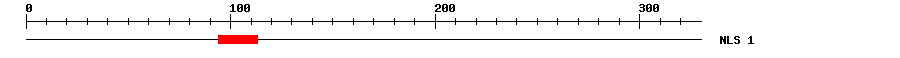 NLS