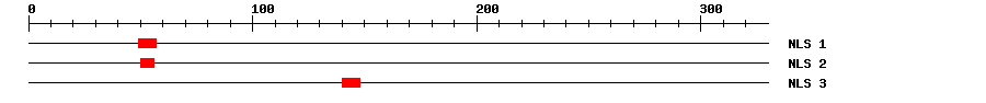 NLS