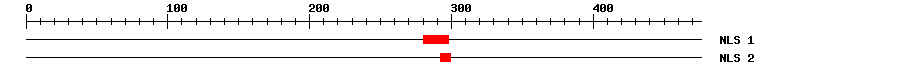 NLS