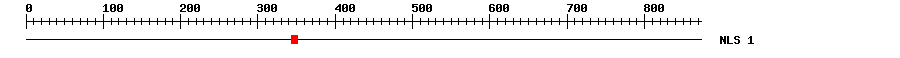 NLS