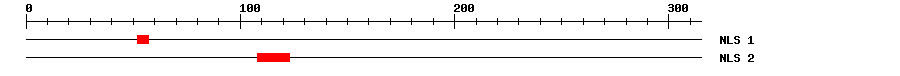 NLS