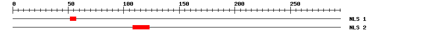 NLS