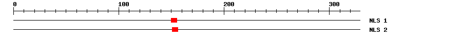 NLS