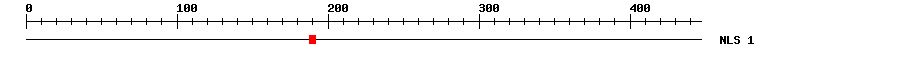 NLS
