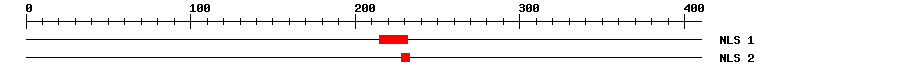 NLS