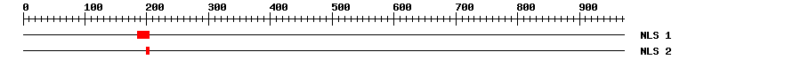 NLS