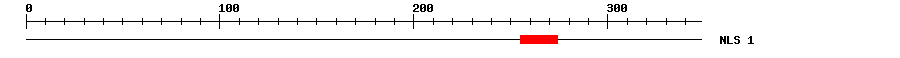 NLS