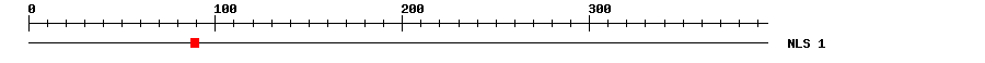 NLS