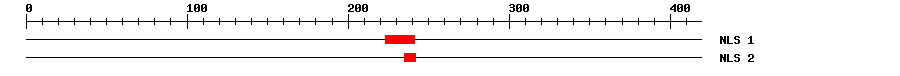 NLS