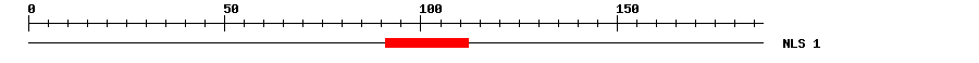 NLS