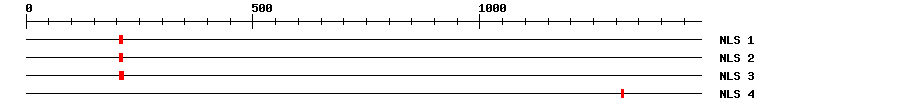 NLS