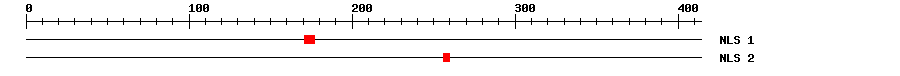NLS