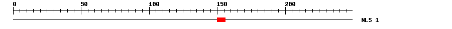 NLS
