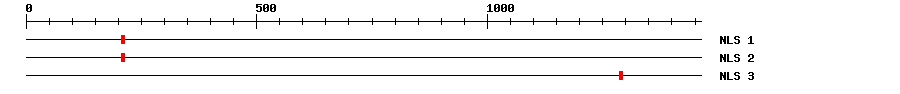 NLS