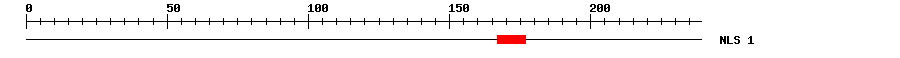 NLS