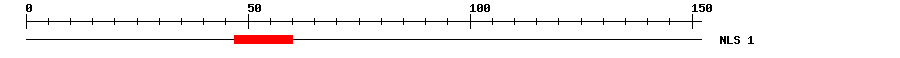 NLS