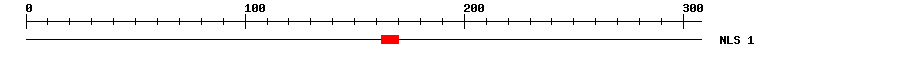 NLS