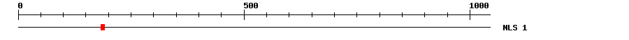 NLS