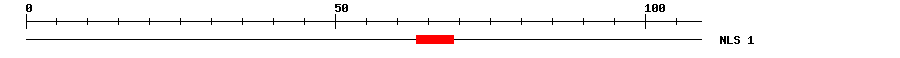 NLS
