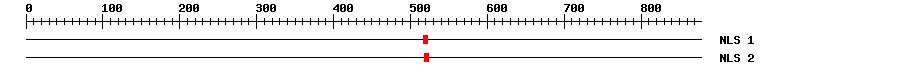 NLS