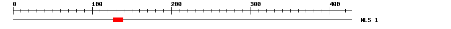 NLS