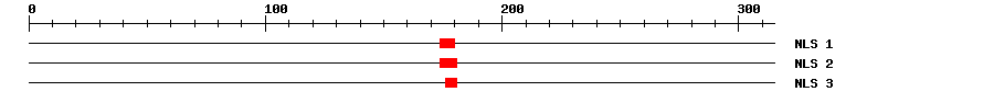 NLS