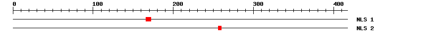 NLS