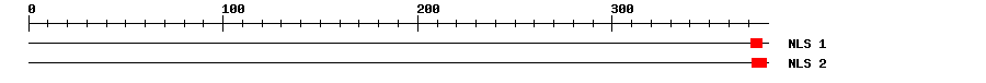 NLS