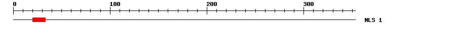 NLS