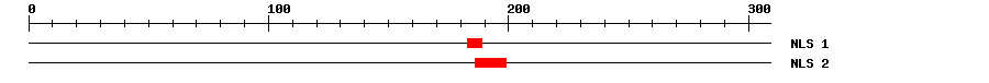 NLS