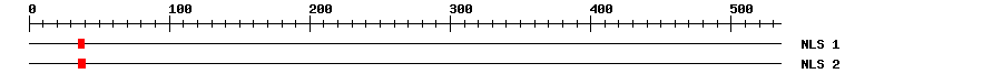 NLS
