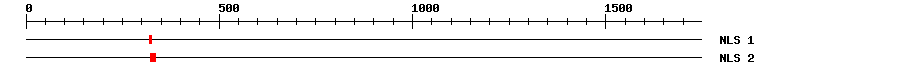 NLS