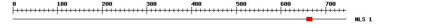 NLS
