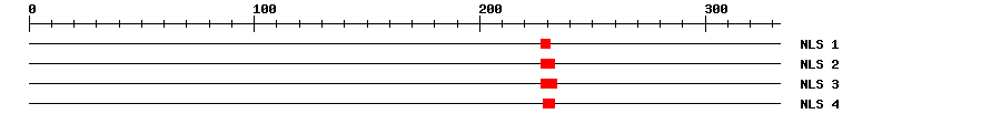 NLS