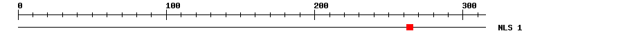 NLS