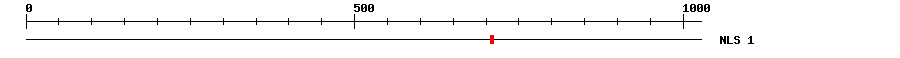NLS