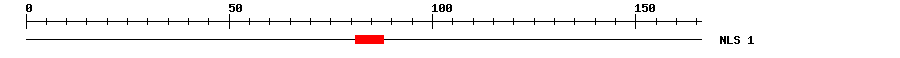 NLS