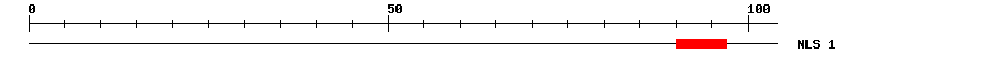 NLS