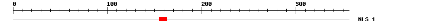 NLS