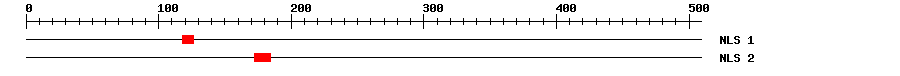 NLS