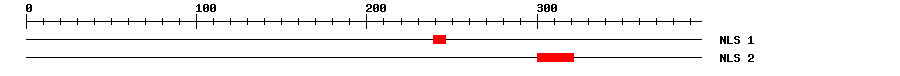 NLS