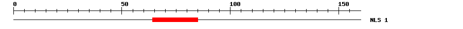 NLS